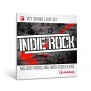 Indie Rock - Steinberg